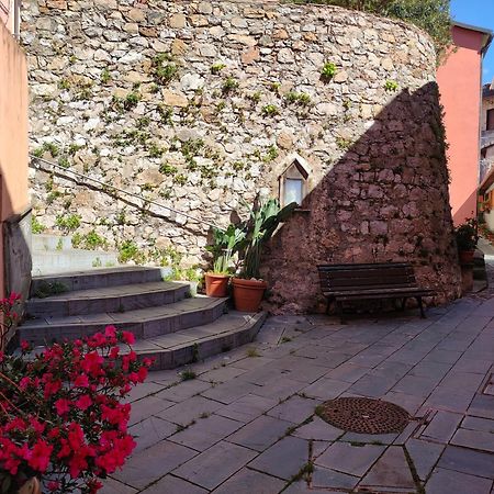 Camera Tra Le Cinque Terre, Camogli E Portofino. Vista Valle E Scorcio Mare All'Orizzonte Castiglione Chiavarese Exteriör bild
