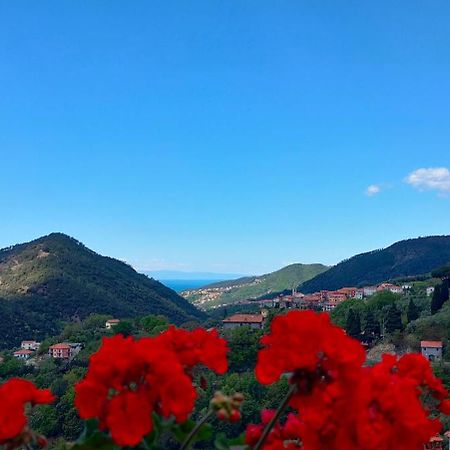 Camera Tra Le Cinque Terre, Camogli E Portofino. Vista Valle E Scorcio Mare All'Orizzonte Castiglione Chiavarese Exteriör bild