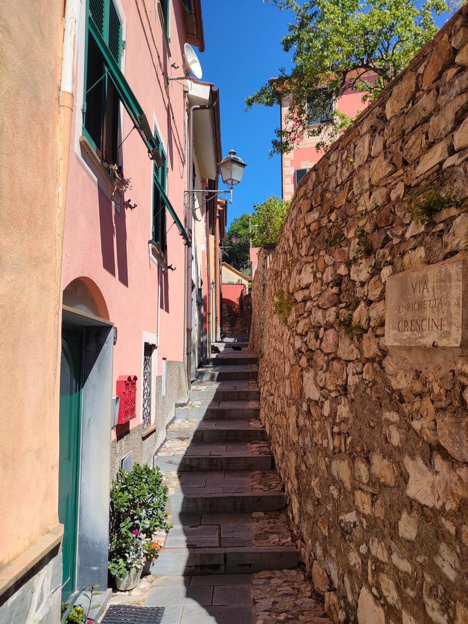 Camera Tra Le Cinque Terre, Camogli E Portofino. Vista Valle E Scorcio Mare All'Orizzonte Castiglione Chiavarese Exteriör bild