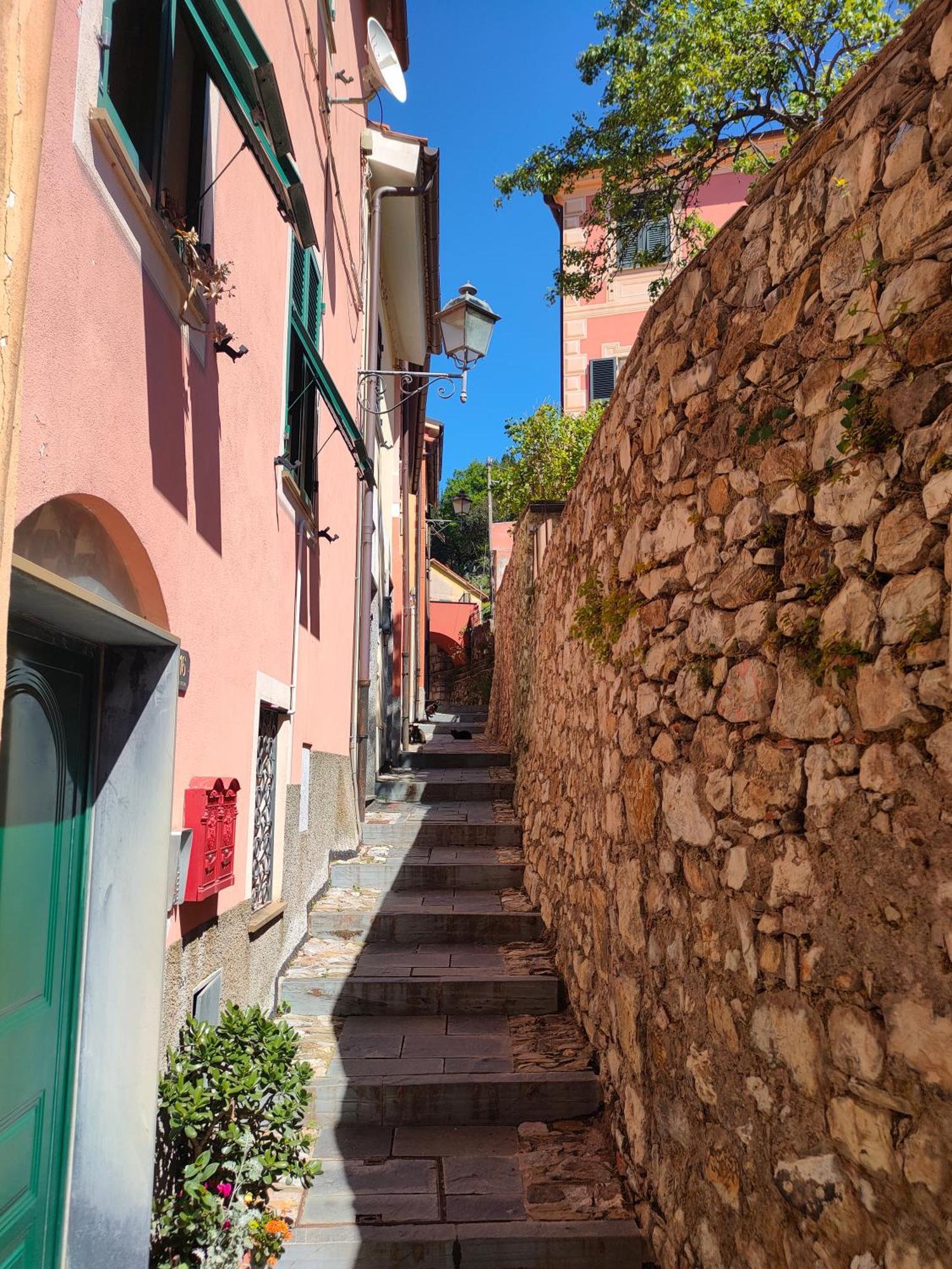 Camera Tra Le Cinque Terre, Camogli E Portofino. Vista Valle E Scorcio Mare All'Orizzonte Castiglione Chiavarese Exteriör bild