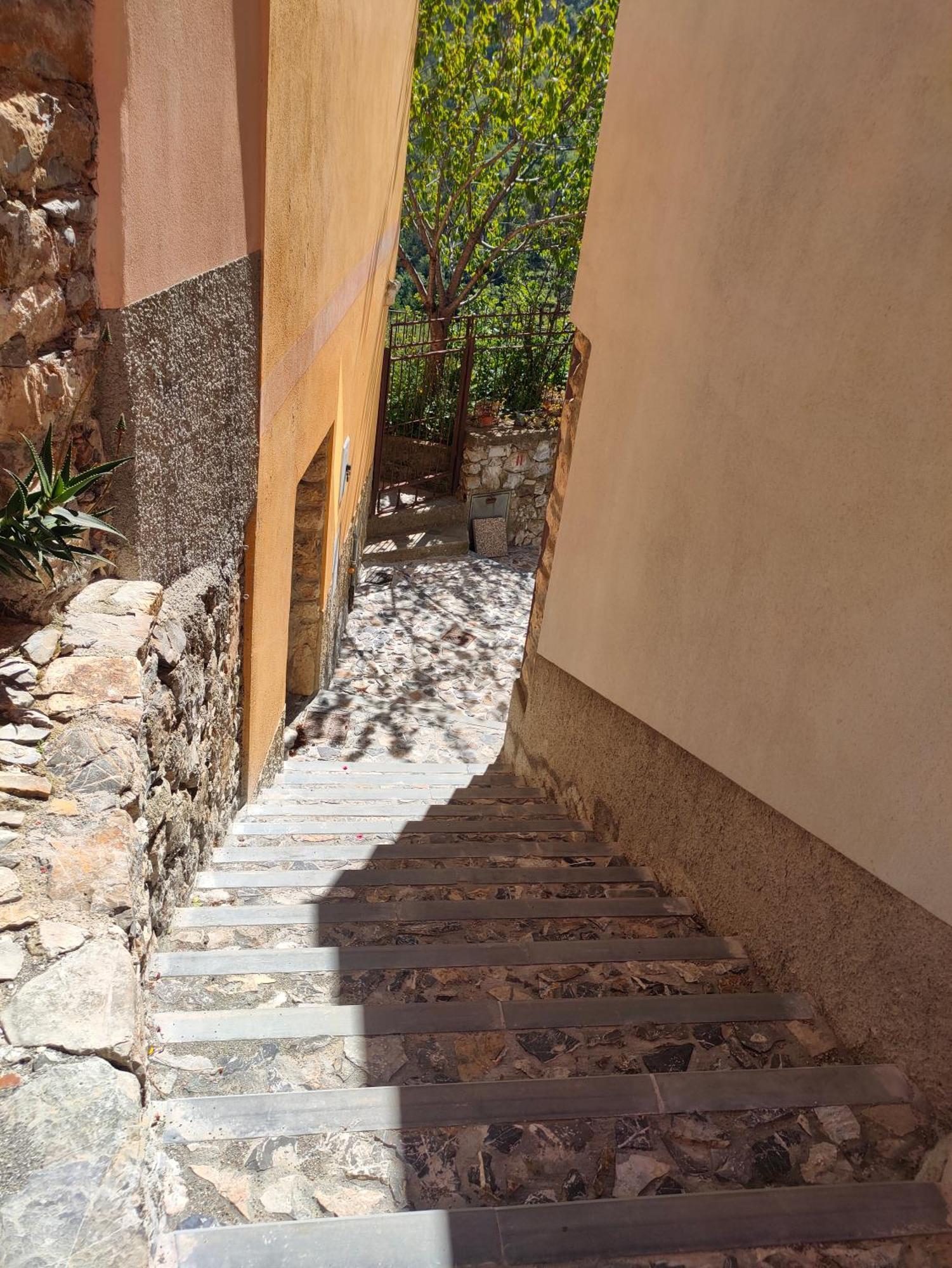 Camera Tra Le Cinque Terre, Camogli E Portofino. Vista Valle E Scorcio Mare All'Orizzonte Castiglione Chiavarese Exteriör bild